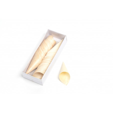 Box 100 coni di legno 12,5x5 cm