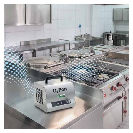 Ozonizzatore sanificatore O3 Port 10