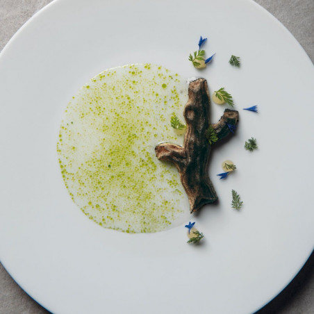 Pavoni Stampo Gourmand 6 impronte rami