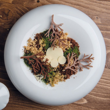 Pavoni Stampo Gourmand 10 impronte rami secchi