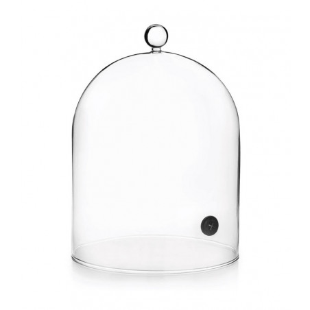 Campana Per Affumicare Cm 18.5x22