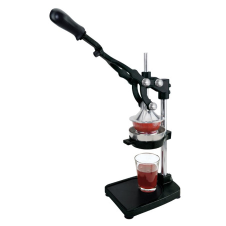 Ilsa Spremi Melograno Agrumi Professionale