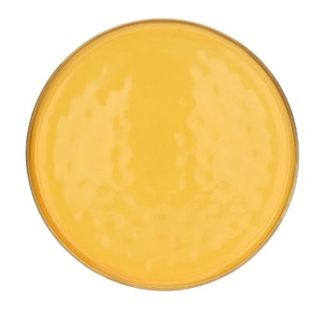 Rose & Tulipani Piatto Teso Cm 27 Ocra Concerto Glam