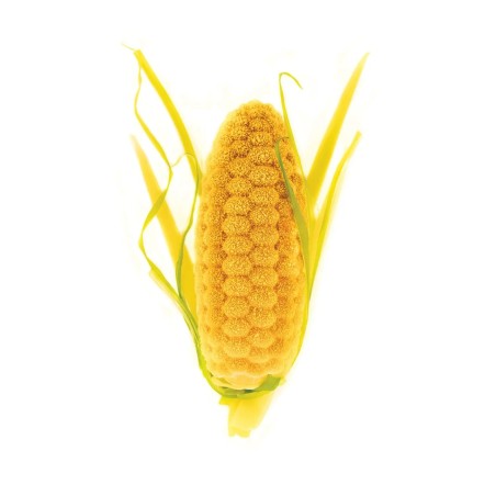 Stampo Pannocchie Silikomart